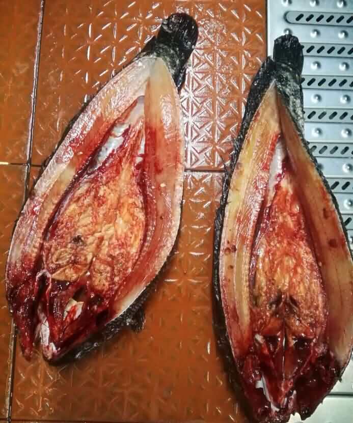 5d22b50c38643.jpg 5d22b50c38643.jpg